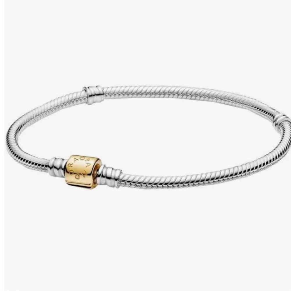 Pandora Charm Bracelet